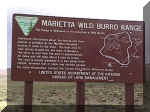 marietta_burro.jpg (51134 bytes)